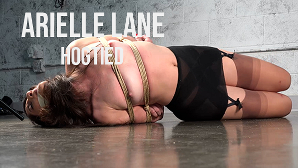 Arielle Lane Hogtied